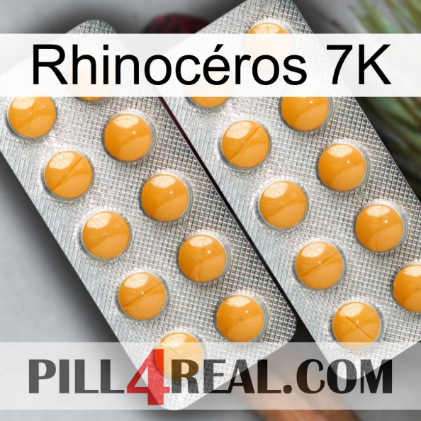 Rhinocéros 7K levitra2